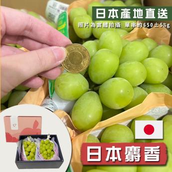 日本麝香葡萄｜山梨縣/長野縣｜麝香葡萄1房/2房精美禮盒｜另有原箱可購買