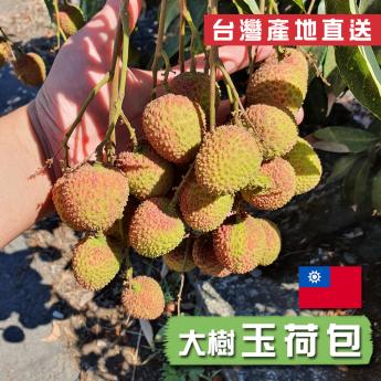 大樹玉荷包｜外銷等級｜頂級手採大果玉荷包32~36mm_3斤提盒｜高雄大樹的果中皇后